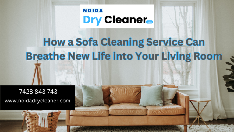 Sofa Cleaning Services Near Me